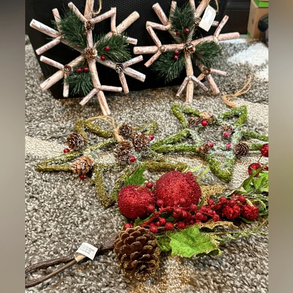 Pier 1 Rustic Twig Star & Snowflake Ornaments Michaels Fruit Pick Set of 5
